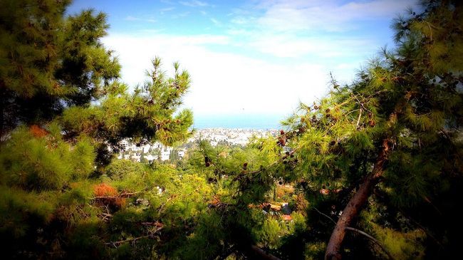 Onar Village Girne Dış mekan fotoğraf