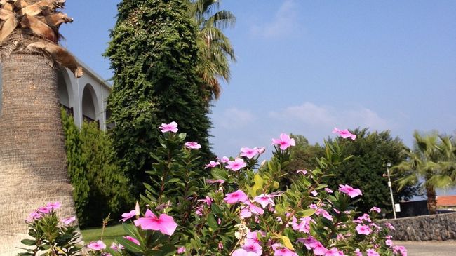 Onar Village Girne Olanaklar fotoğraf